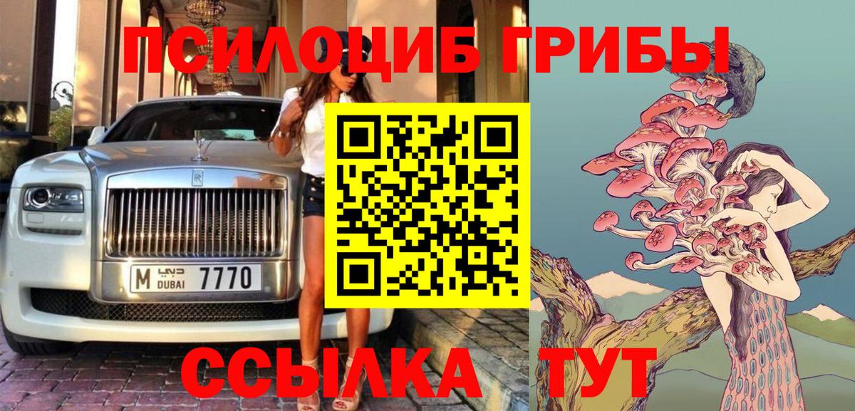 Псилоцибиновые грибы Psilocybine cubensis Россия