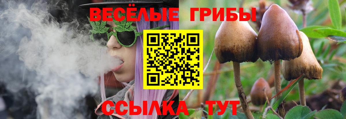 Галлюциногенные грибы MAGIC MUSHROOMS  Галлюциногенные грибы MAGIC MUSHROOMS  Вход с VPN  Россия 